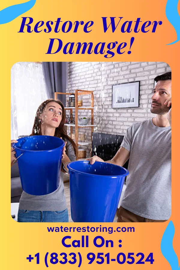 water restoration Classic Cleanup Alba