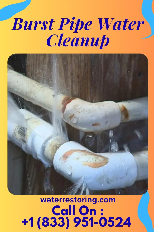 Burst Pipe Water Cleanup in Alba, PA