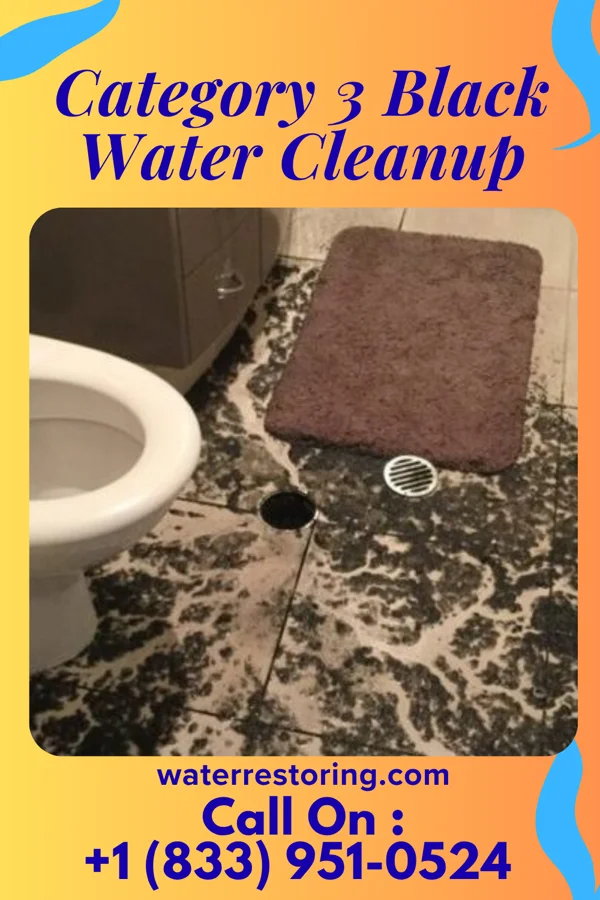 Category 3 Black Water Cleanup in Alba, PA