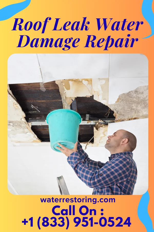 Roof Leak Water Damage Repair in Alba, PA