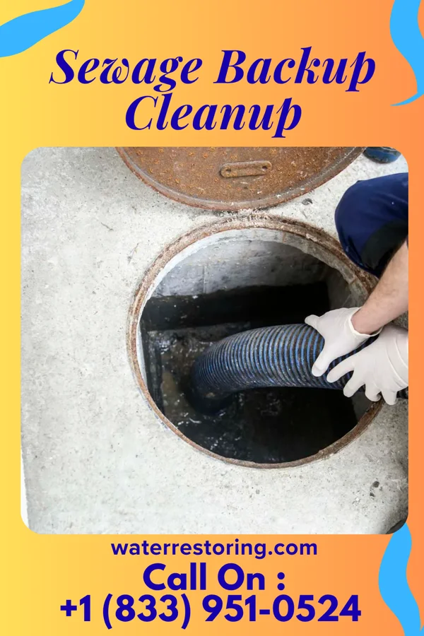 Sewage Backup Cleanup in Alba, PA