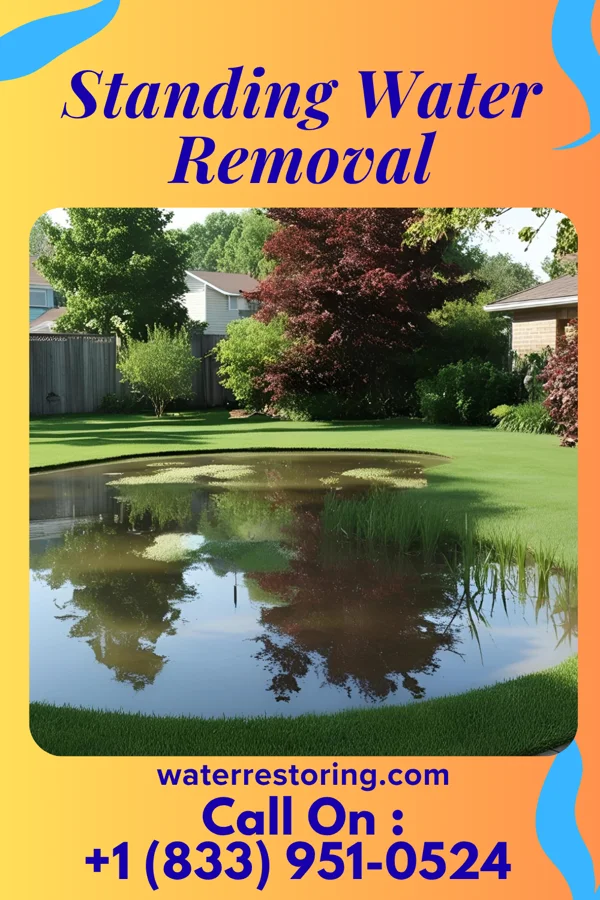 Standing Water Removal in Alba, PA